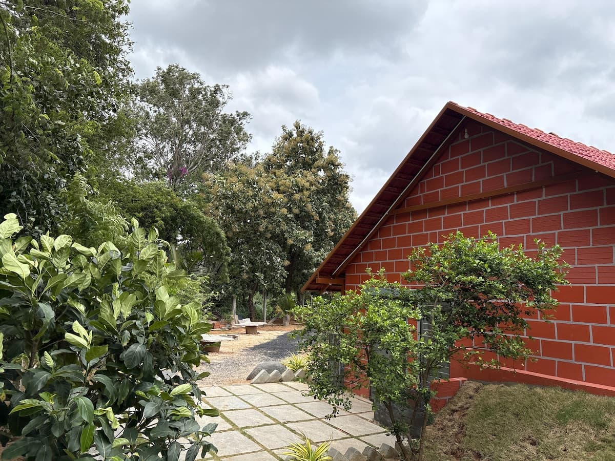 The brick gable seen at an angle from the flagstone path, a citrus bush trained against the wall, and mature trees in flower closing over the path beyond.