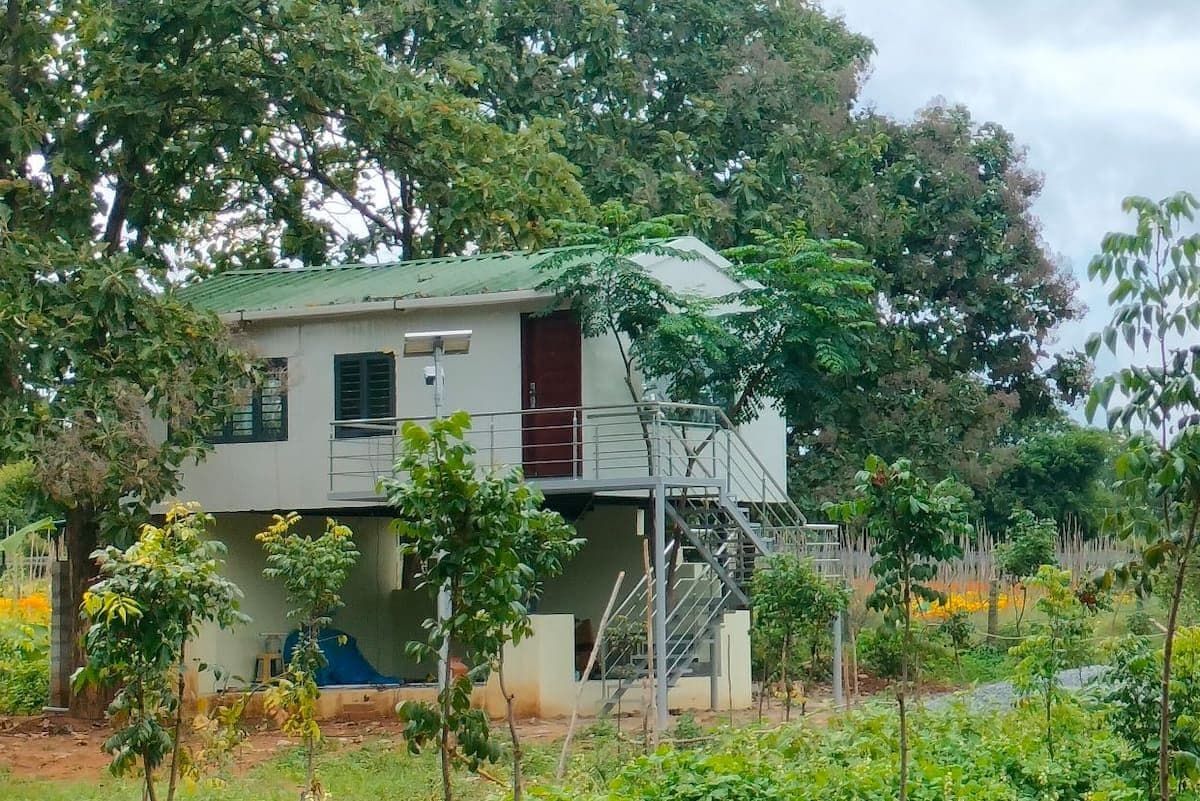 The same raised house from further back, across a planted vegetable bed and framed by trees, with its upper deck and the columns carrying it both visible.