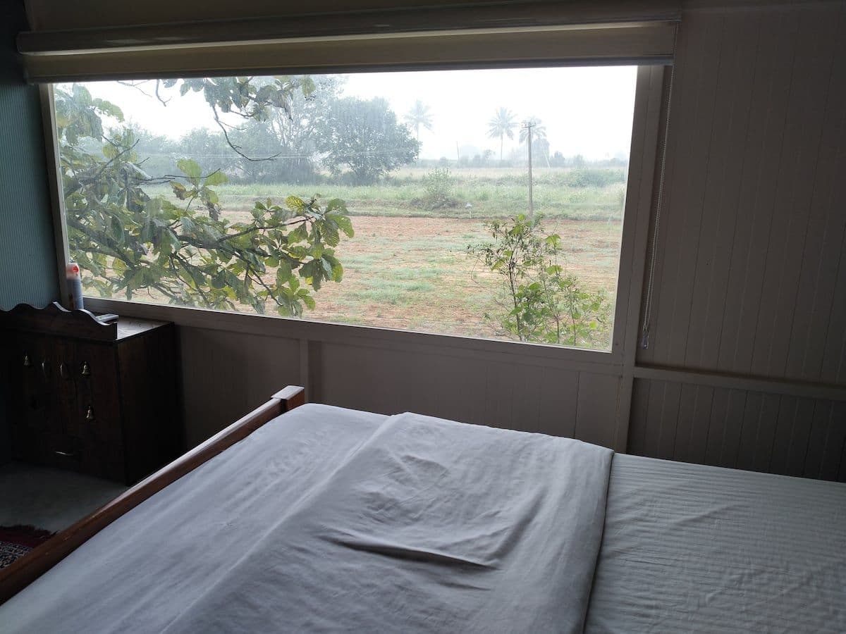 A bed made up in white pushed under a long window, with a branch across the glass and open ground running away into mist beyond it.